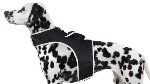 Portable Dog Tracking GPS GSM Locating Device Supports Geo-Fencing NIB Size:XS