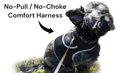 Inexpensive Dog Locator Device Waterproof + Perimeter Fencing Settings Size:XS