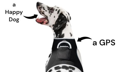 Portable Waterproof Pet Location Tracking Device GPS GSM Puppy Tracker Size:M