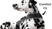 Inexpensive Dog Locator Device Waterproof + Perimeter Fencing Settings Size:XL