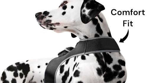 Inexpensive Dog Locator Device Waterproof + Perimeter Fencing Settings Size:XL