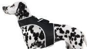 NEW Pet Tracker Portable Pet Tracking Best Dog GPS GSM Geo-Fencing Tracker Size:XS