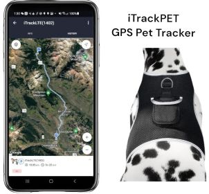 Portable Dog Tracking GPS GSM Locating Device Supports Geo-Fencing NIB Size:S