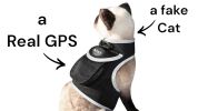 GPS Locator for Dogs with Perimeter Fence Realtime Pet Tracking System Size:S