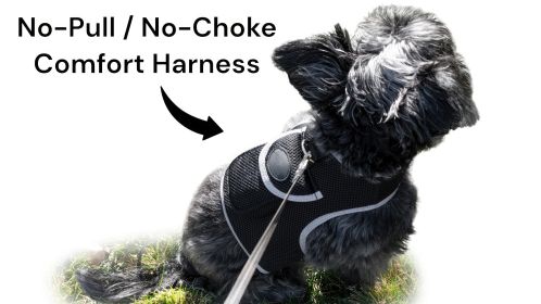 NEW Pet Tracker Portable Pet Tracking Best Dog GPS GSM Geo-Fencing Tracker Size:XL