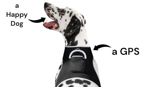 NEW Realtime Cat Dog GPS Tracker Portable Geo-Fencing Pet Tracking Sys Size:XXL