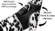 Portable Dog Tracking GPS GSM Locating Device Supports Geo-Fencing NIB Size:S