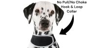 NEW Pet Tracker Portable Pet Tracking Best Dog GPS GSM Geo-Fencing Tracker Size:XL