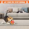 Pet Ball for Dogs, Interactive Dog Toy Durable Automatic Rolling Ball with Led Flash Lights for Small Meduium Large Dogs Breed
