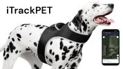Portable Dog Tracking GPS GSM Locating Device Supports Geo-Fencing NIB Size:XS
