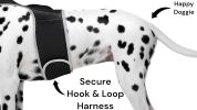 GPS Locator for Dogs with Perimeter Fence Realtime Pet Tracking System Size:XXL