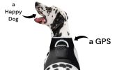 GPS Locator for Dogs with Perimeter Fence Realtime Pet Tracking System Size:S