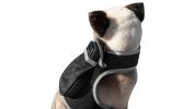 GPS Locator for Dogs with Perimeter Fence Realtime Pet Tracking System Size:S
