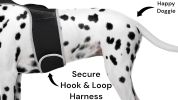 Inexpensive Dog Locator Device Waterproof + Perimeter Fencing Settings Size:S