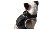 GPS Locator for Dogs with Perimeter Fence Realtime Pet Tracking System Size:XL