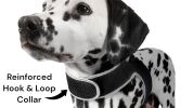 NEW Realtime Cat Dog GPS Tracker Portable Geo-Fencing Pet Tracking Sys Size:M