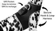 NEW Realtime Cat Dog GPS Tracker Portable Geo-Fencing Pet Tracking Sys Size:XXL