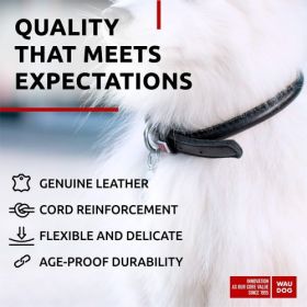 Ultra Soft Rolled Leather Dog Collar for Small Dogs Soft Padded Male and Female Dog Collar 8-10 inch Neck Black Color