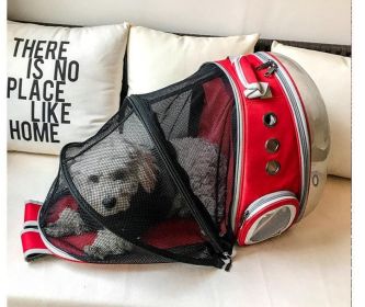Bubble Pet Sightseeing Backpack: Portable And Stylish Carrier For Small Animals (Color: Red Upgrade)