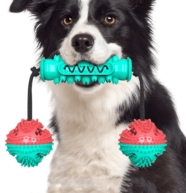 Dog Chew Toys Pet Toothbrush Rubber Bones Teeth Cleaning (Color: Red)