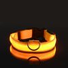 Glow-In-The-Dark Pet Collar For Dog ; LED Dog Collar For Night Walking; USB charging